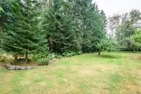 View 50