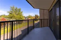 View 19