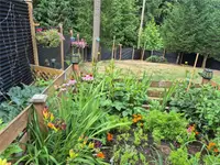 View 43