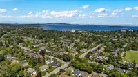 View 50