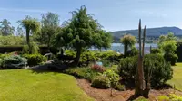 View 50