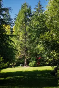 View 31