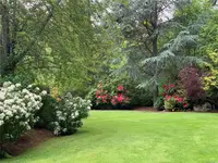 View 29