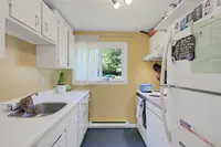 View 67