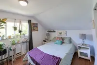View 61