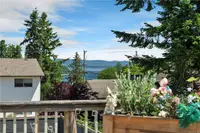 View 44