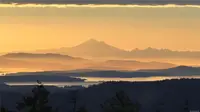 View 71