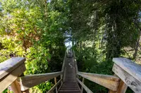 View 50