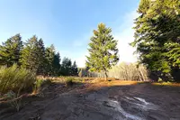 View 19