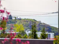 View 24