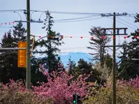 View 25