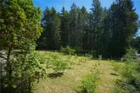 View 45