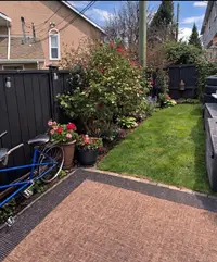View 25