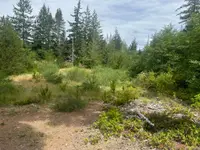 View 6