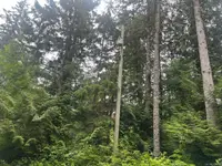 View 16