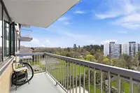 View 19