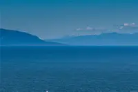 View 75