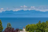 View 61