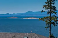 View 74
