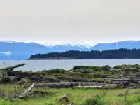View 29