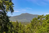 View 17