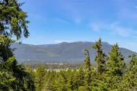 View 16