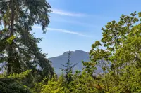 View 32