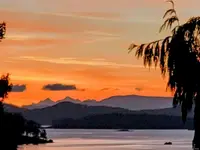 View 54