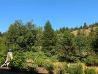 View 19