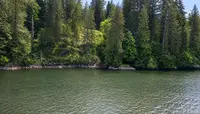View 14