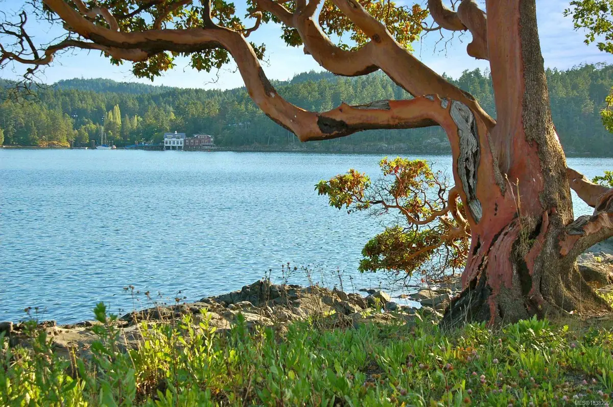0 Fane Island, Pender Island BC A1A 1A1