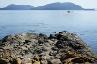 View 5