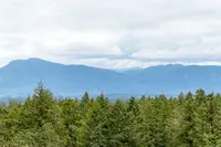 View 30