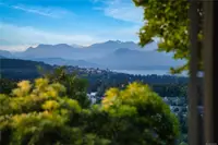View 64