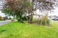 View 24