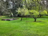 View 10