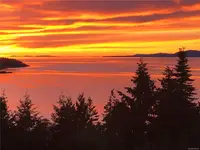 View 68