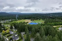 View 81