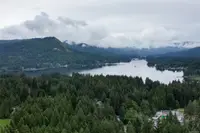 View 82