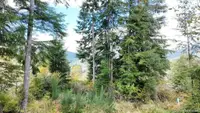 View 17