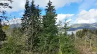 View 16