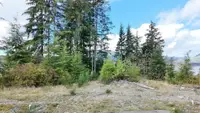 View 18
