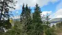 View 15