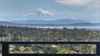 View 7