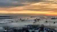 View 58
