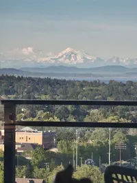 View 29