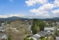 View 46