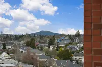 View 40