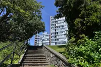 View 35
