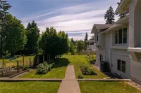 View 41